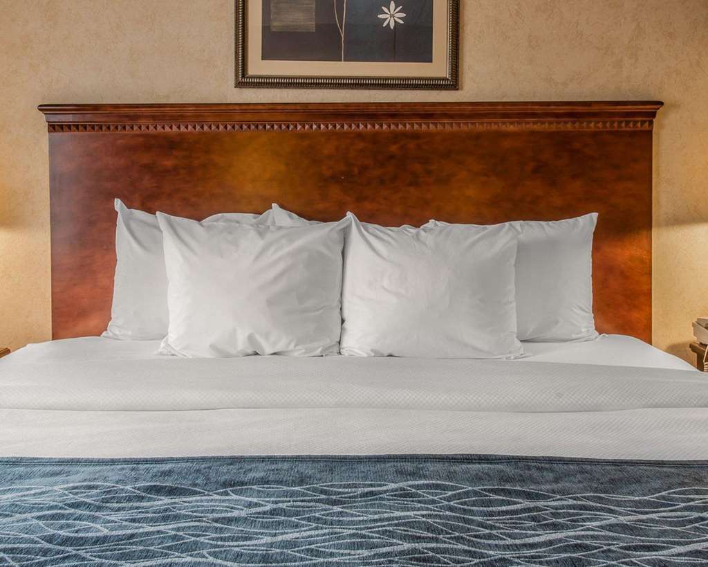 Quality Inn & Suites Coldwater Near I-69 Ruang foto