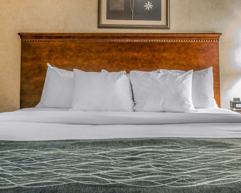 Quality Inn & Suites Coldwater Near I-69 Ruang foto