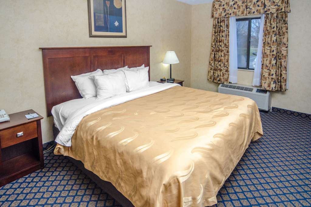 Quality Inn & Suites Coldwater Near I-69 Ruang foto