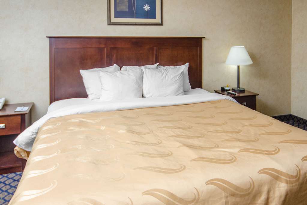 Quality Inn & Suites Coldwater Near I-69 Ruang foto