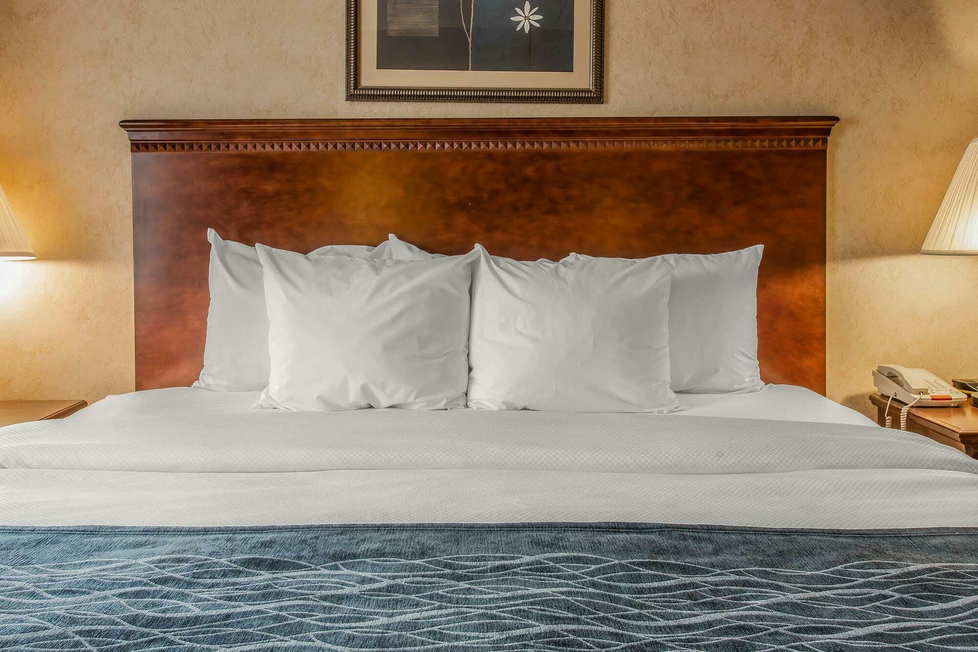 Quality Inn & Suites Coldwater Near I-69 Bagian luar foto