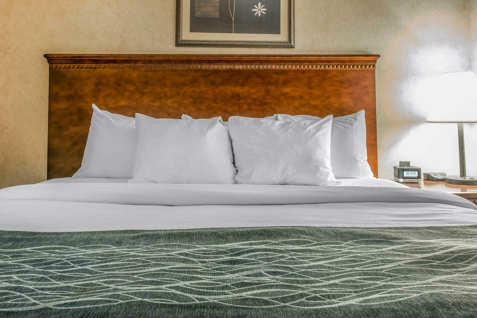 Quality Inn & Suites Coldwater Near I-69 Bagian luar foto